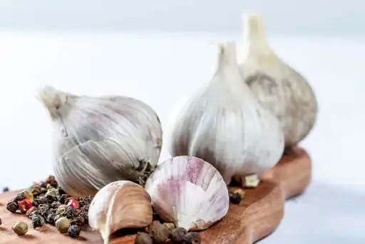 Garlic